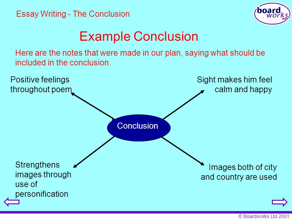 Essay Writing Conclusion