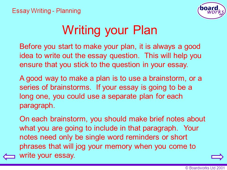 How To Start A Good College Essay