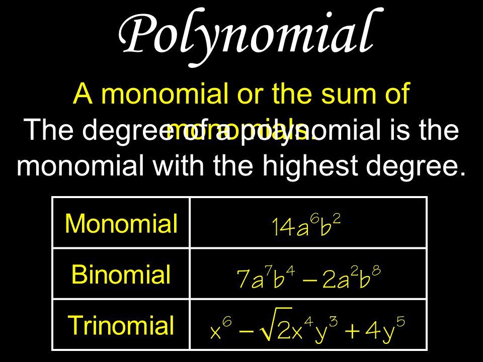 A monomial or the sum of monomials.