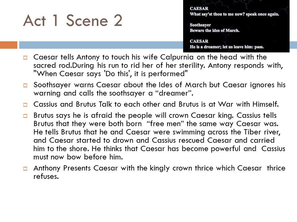 brutus essays summary brutus essays summary