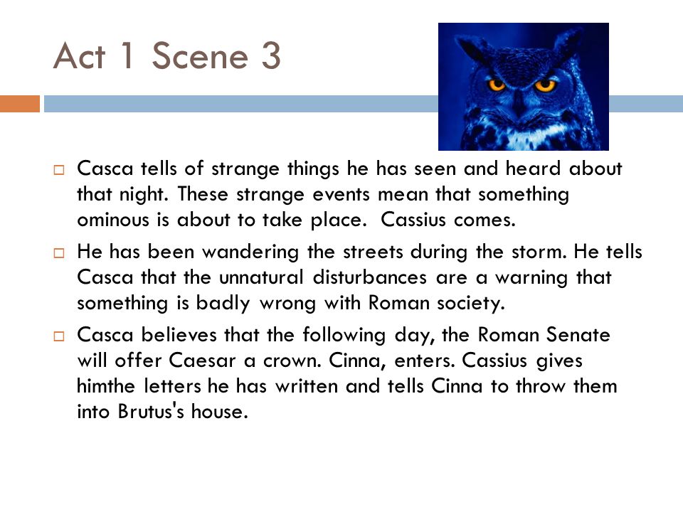 julias caesar a misunderstood hero essay julias caesar a misunderstood hero essay