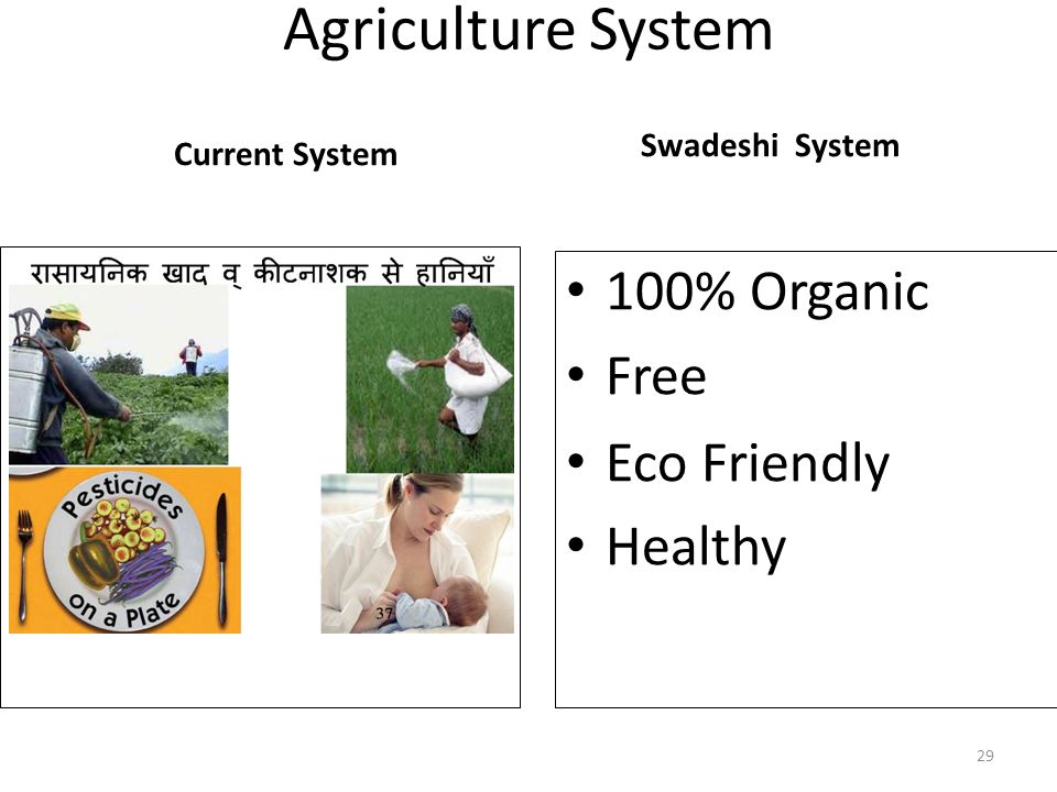 Agriculture System Current System Swadeshi System 100% Organic Free Eco Friendly Healthy 29