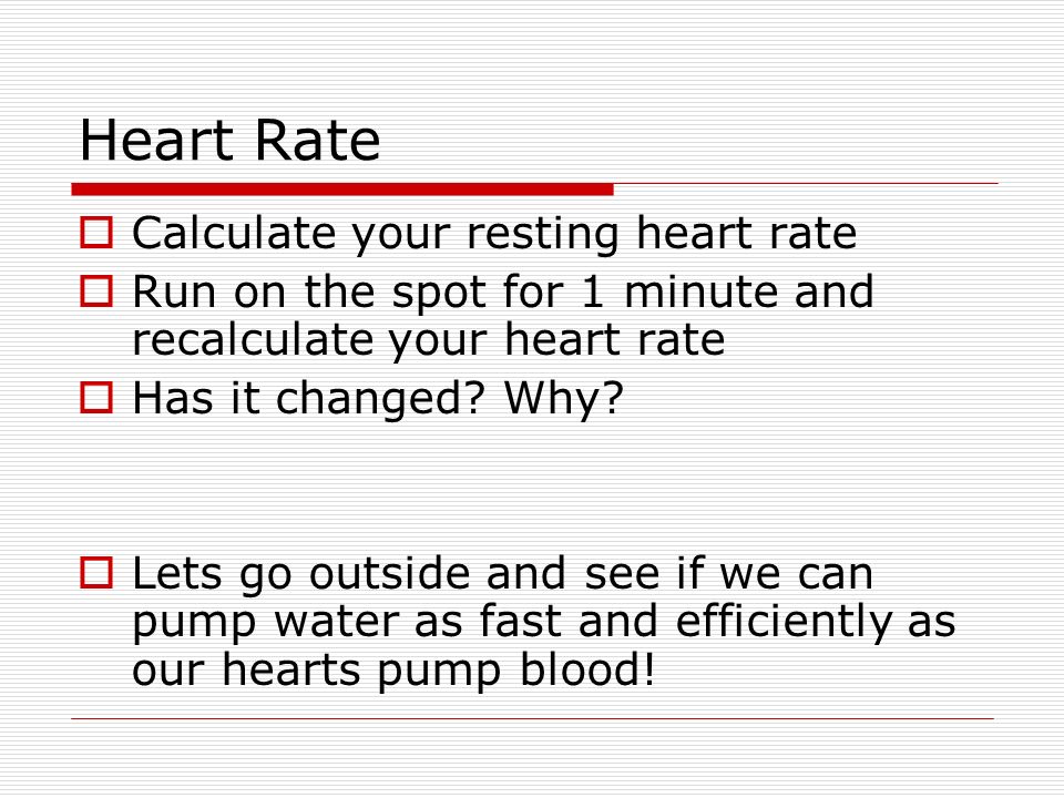 Heart Rate  Calculate your resting heart rate  Run on the spot for 1 minute and recalculate your heart rate  Has it changed.