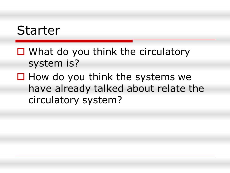 Starter  What do you think the circulatory system is.