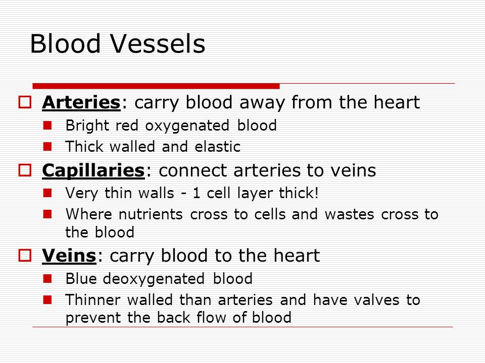 Blood Vessels  Arteries: carry blood away from the heart Bright red oxygenated blood Thick walled and elastic  Capillaries: connect arteries to veins Very thin walls - 1 cell layer thick.