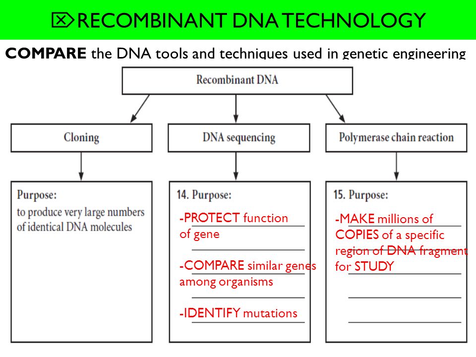 Tue 4 30 Week 6 Topic Genetics Biotechnology Obj Do Now 15 Recombinant Dna Technology