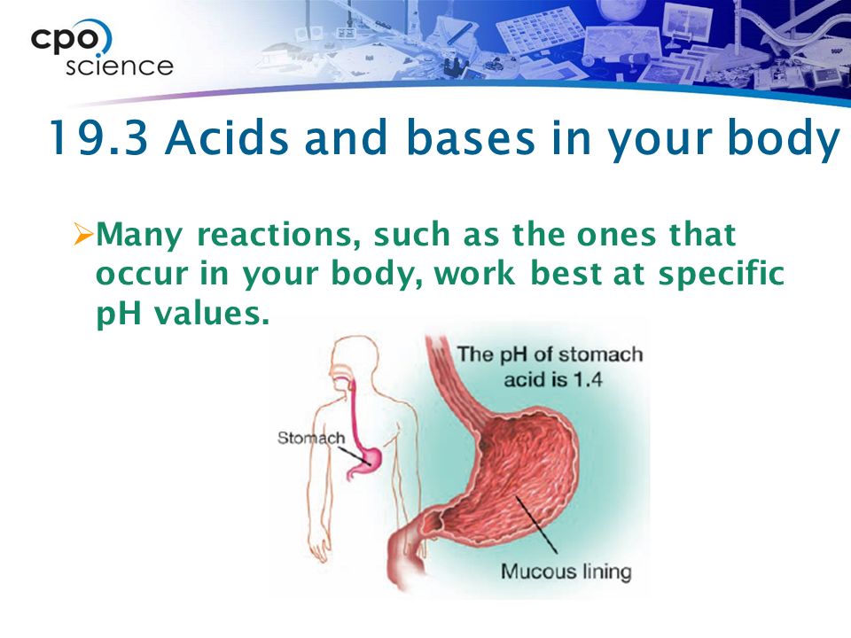 19.3 Acids and bases in your body  Many reactions, such as the ones that occur in your body, work best at specific pH values.