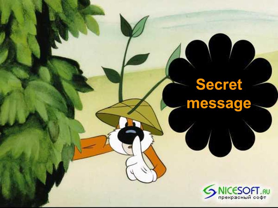 Secret message