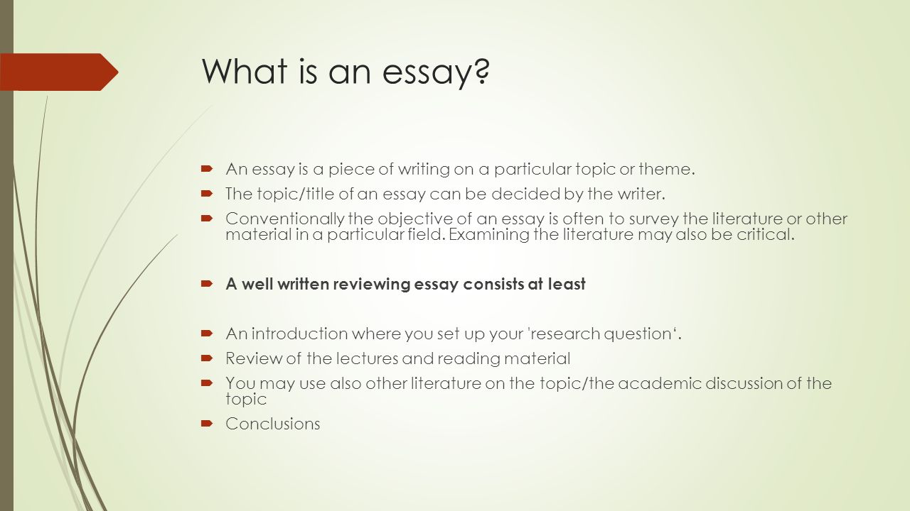 Social Work Essays