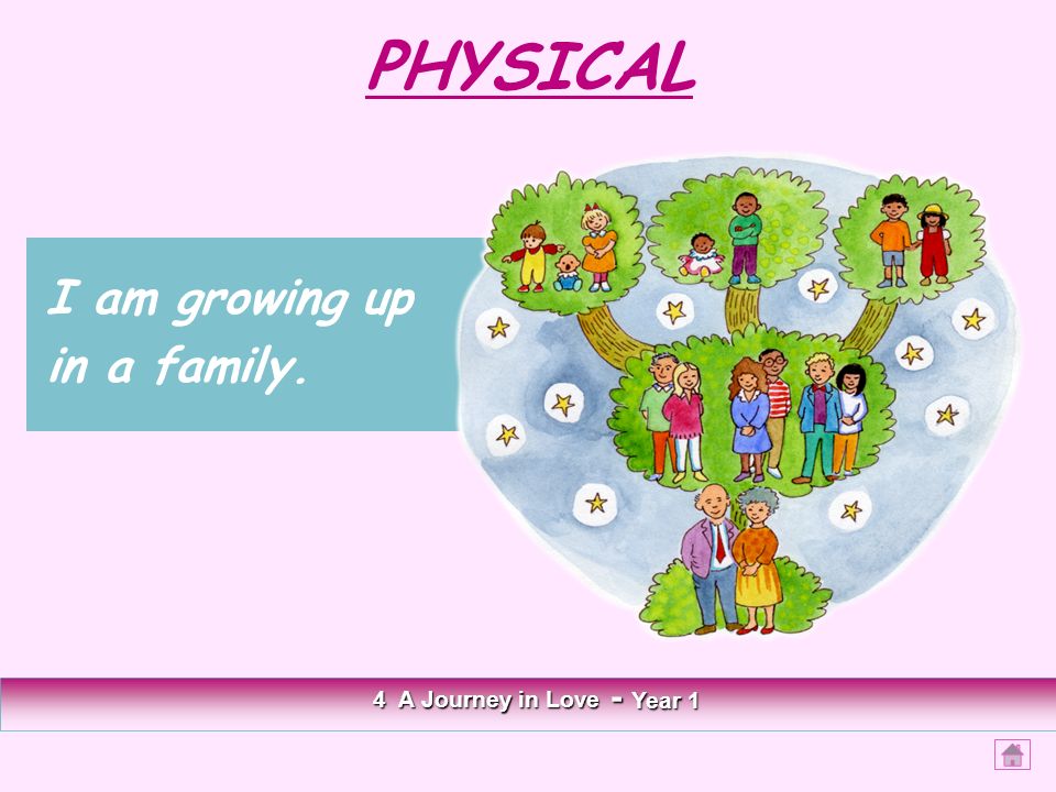PHYSICAL 4 A Journey in Love - Year 1 I am growing up in a family.