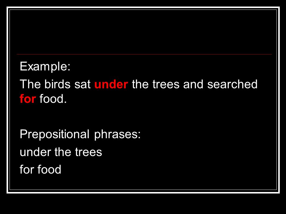 Example: The birds sat under the trees and searched for food.