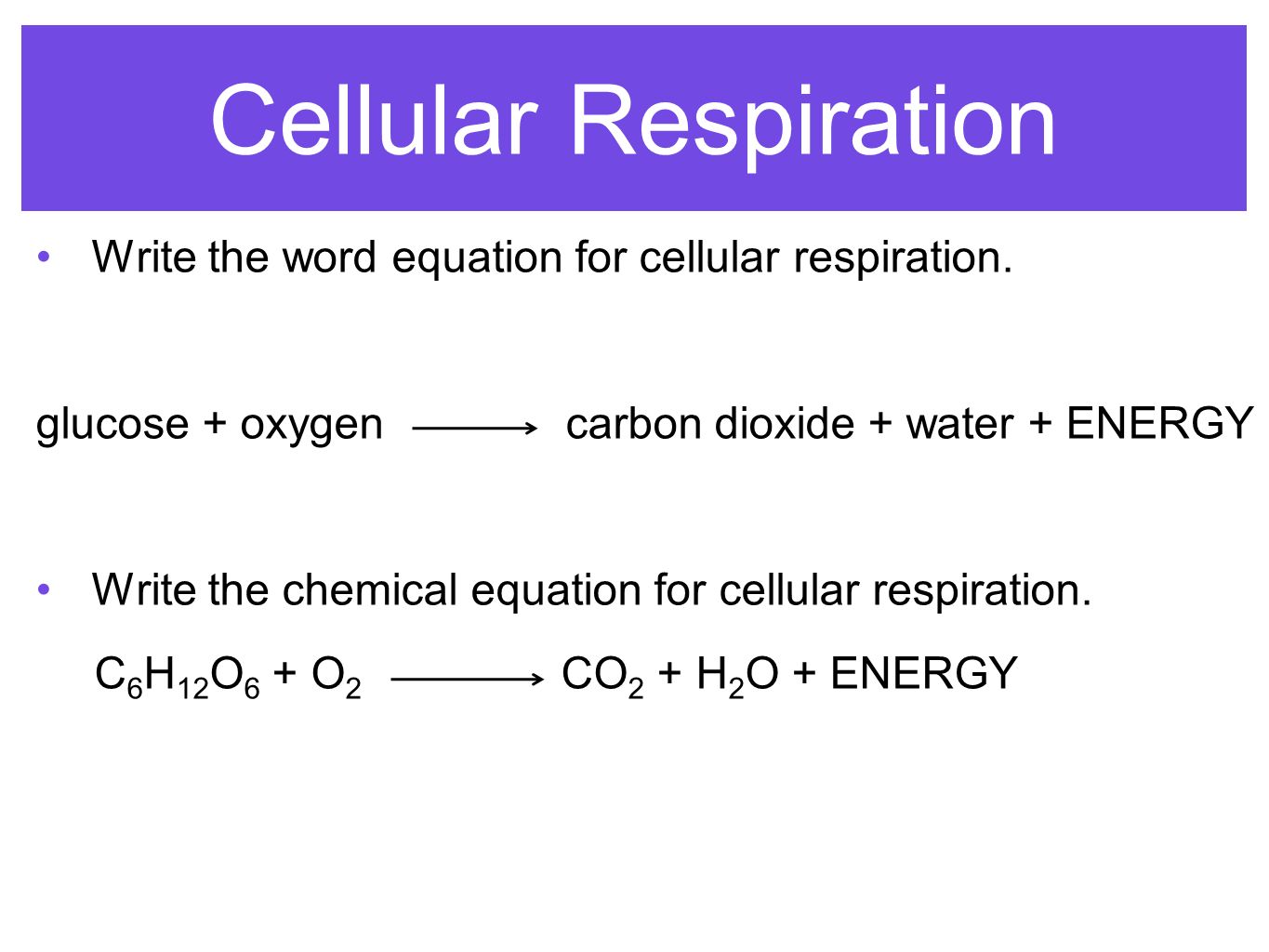 The Overall Simplified Chemical Equation For Cellular Respiration What Is The Simple Word Equation For Cellular Respiration
