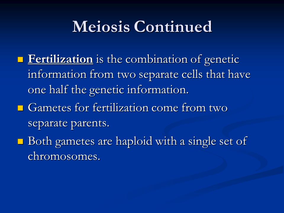 Meiosis Continued Fertilization is the combination of genetic information from two separate cells that have one half the genetic information.