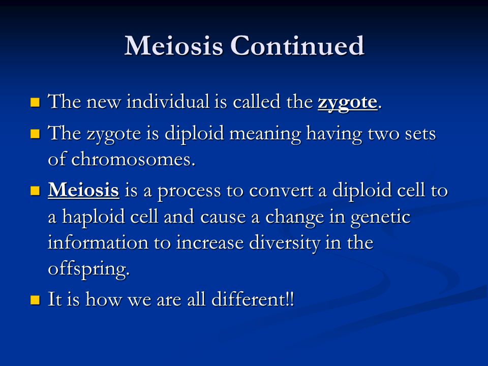 Meiosis Continued The new individual is called the zygote.