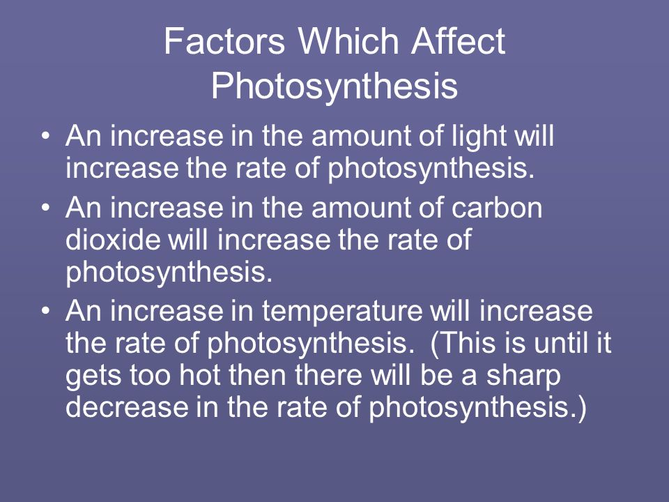 Factors Which Affect Photosynthesis An increase in the amount of light will increase the rate of photosynthesis.