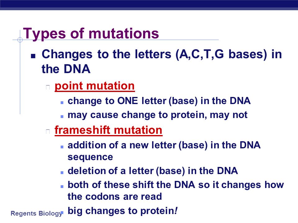 Worksheets Gene Mutation Worksheet gene mutations worksheet genetic abitlikethis