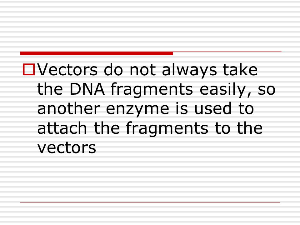  Vectors do not always take the DNA fragments easily, so another enzyme is used to attach the fragments to the vectors