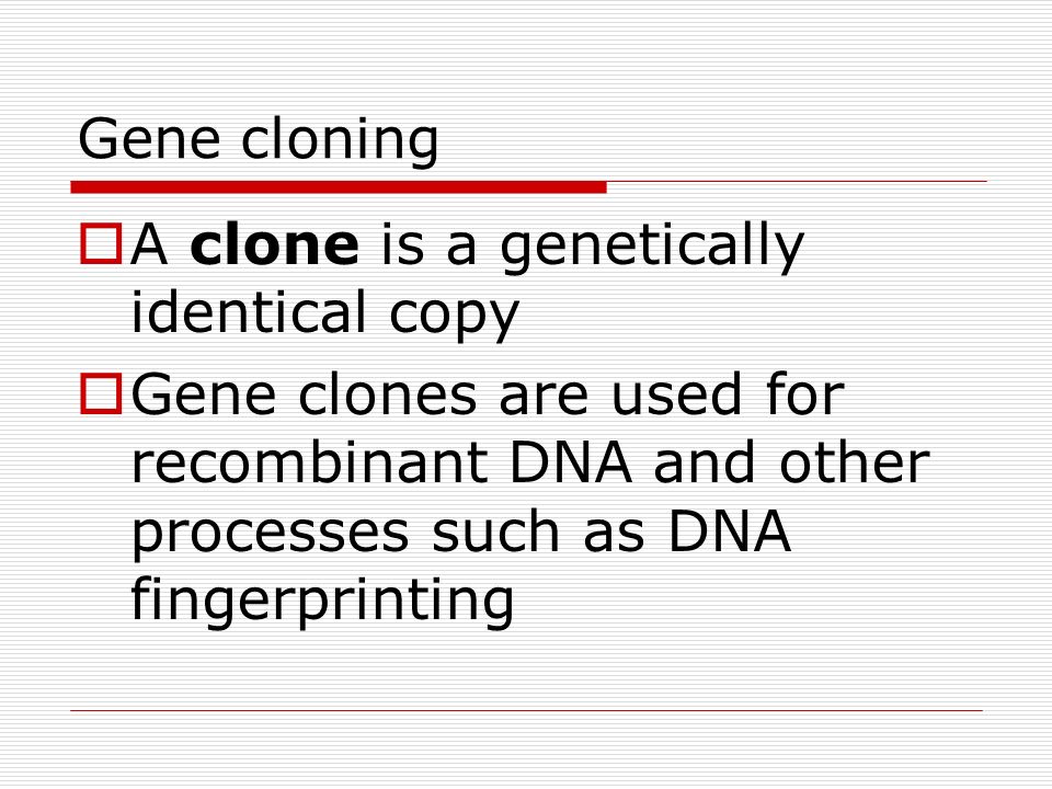 Gene cloning  A clone is a genetically identical copy  Gene clones are used for recombinant DNA and other processes such as DNA fingerprinting