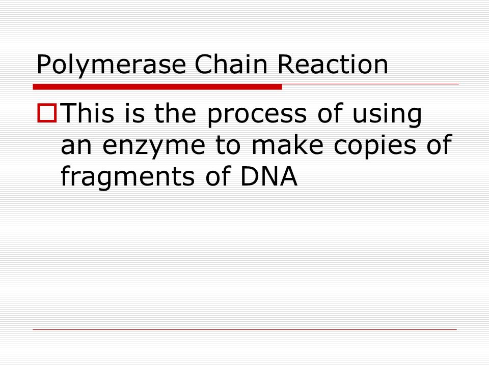 Polymerase Chain Reaction  This is the process of using an enzyme to make copies of fragments of DNA