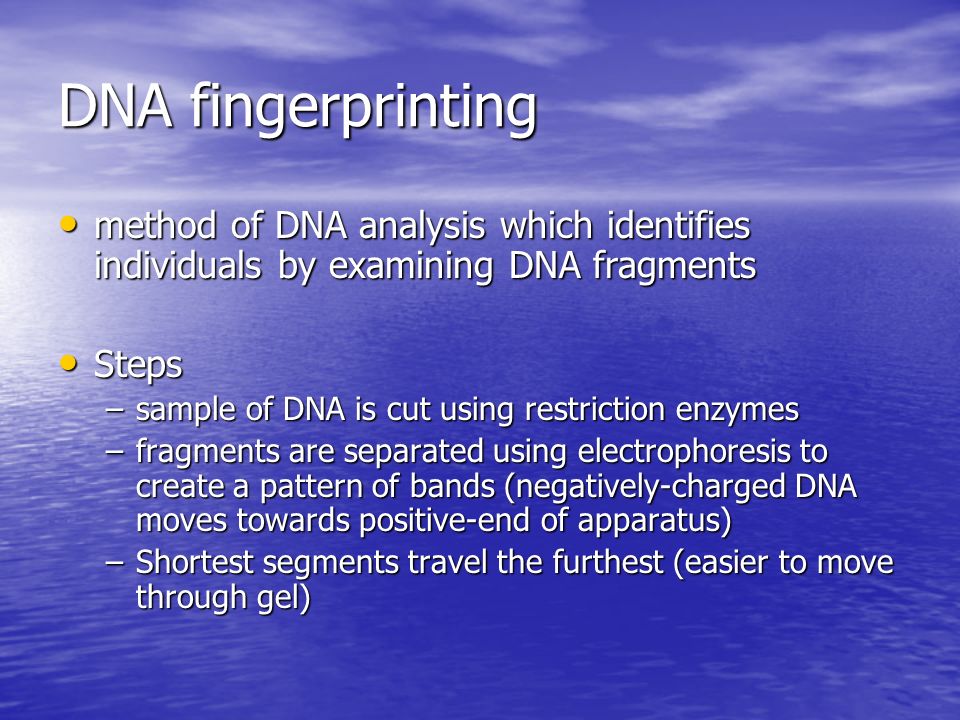 DNA fingerprinting method of DNA analysis which identifies individuals by examining DNA fragments method of DNA analysis which identifies individuals by examining DNA fragments Steps Steps –sample of DNA is cut using restriction enzymes –fragments are separated using electrophoresis to create a pattern of bands (negatively-charged DNA moves towards positive-end of apparatus) –Shortest segments travel the furthest (easier to move through gel)