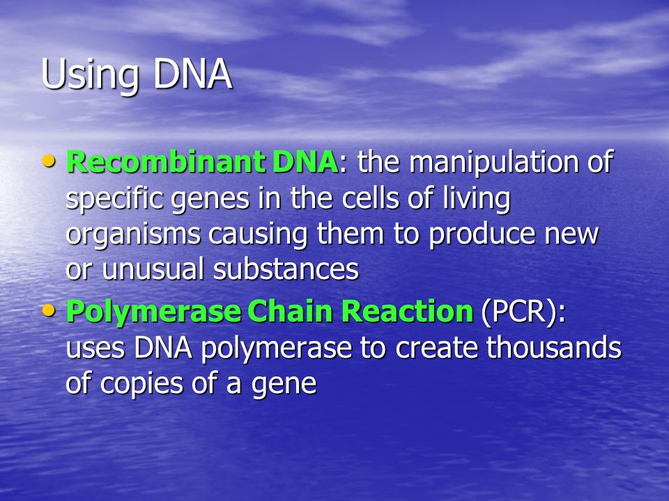 Using DNA Recombinant DNA: the manipulation of specific genes in the cells of living organisms causing them to produce new or unusual substances Recombinant DNA: the manipulation of specific genes in the cells of living organisms causing them to produce new or unusual substances Polymerase Chain Reaction (PCR): uses DNA polymerase to create thousands of copies of a gene Polymerase Chain Reaction (PCR): uses DNA polymerase to create thousands of copies of a gene