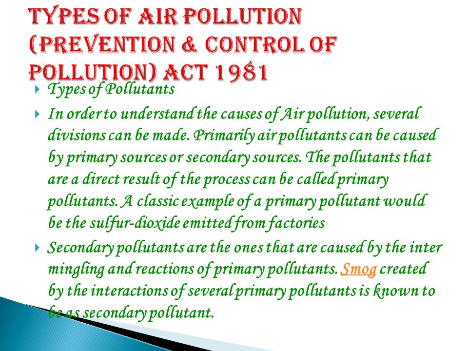 Essay About Water Pollution