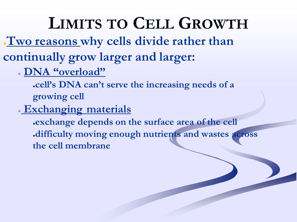 the cell cycle cell size is limited too great an increase in the maximum size of a cell is limited by