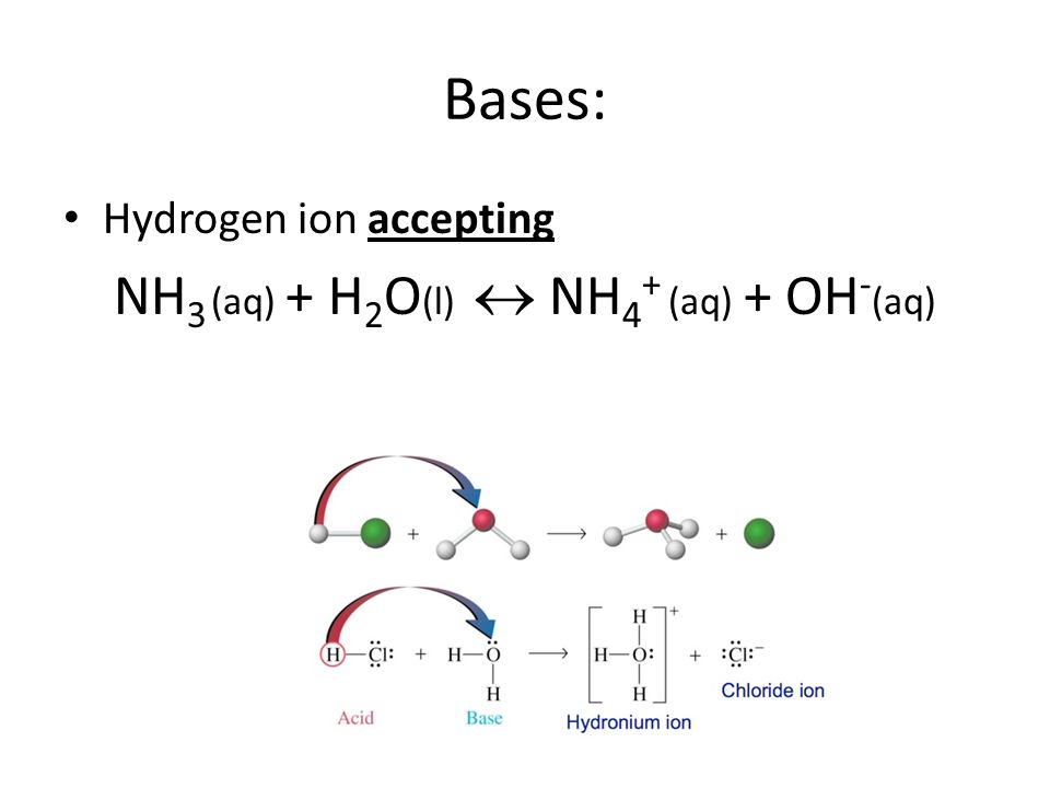 Bases: Hydrogen ion accepting NH 3 (aq) + H 2 O (l)  NH 4 + (aq) + OH - (aq)