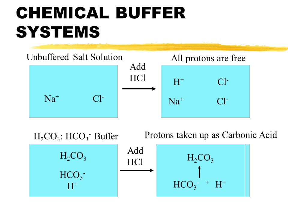 chemical buffer
