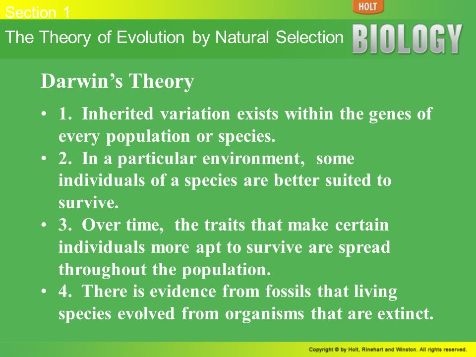 natural selection spurs evolution in relation to darwins theories 5 principles of natural selectionpptx 5 principles of natural selection principle example variations i can identify the 5 points of darwin’s theory of evolution. natural selection spurs evolution in relation to darwins theories 5 principles of natural selectionpptx 5 principles of natural selection principle example variations i can identify the 5 points of darwin’s theory of evolution.
