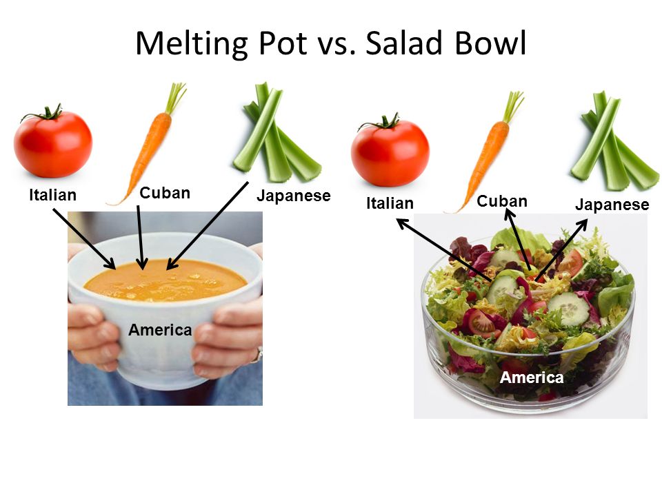 Salad bowl vs melting pot essay