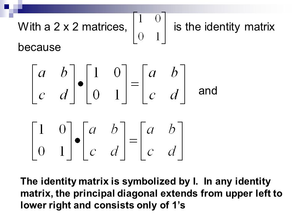 Printables Matrix Worksheets multiplying matrices worksheets free intrepidpath kuta algebra 2 matrix multiplication for