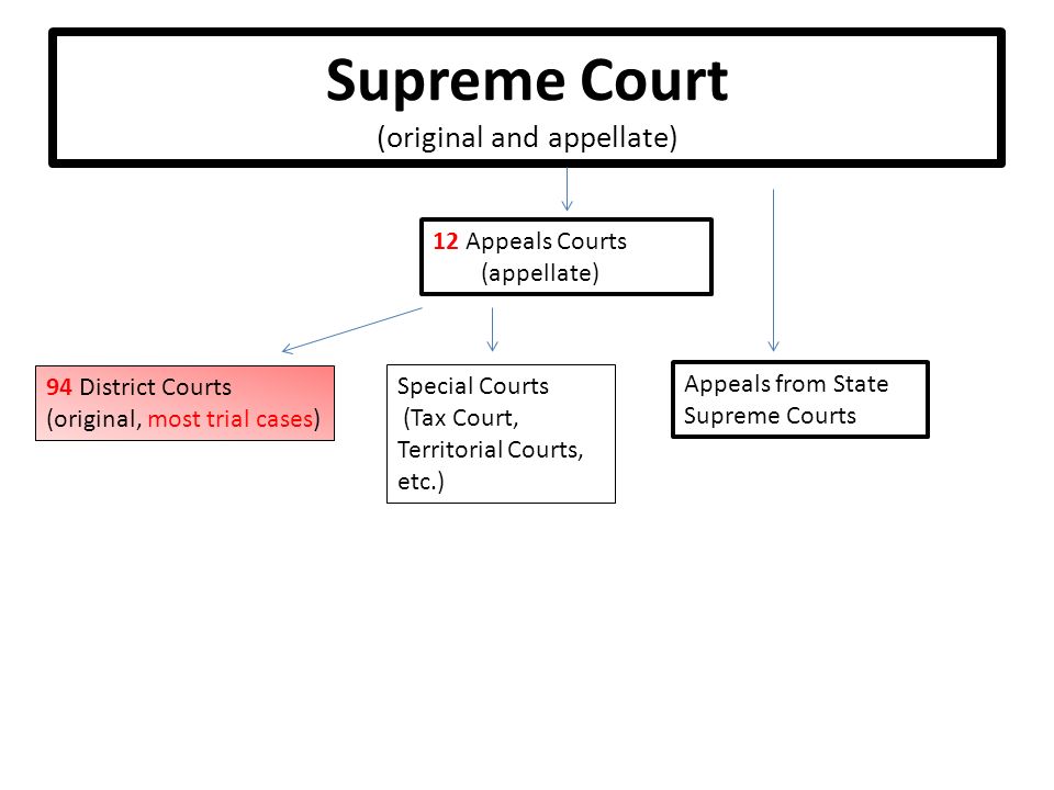 Supreme Court (original and appellate) 94 District Courts (original, most trial cases) Special Courts (Tax Court, Territorial Courts, etc.) Appeals from State Supreme Courts 12 Appeals Courts (appellate)