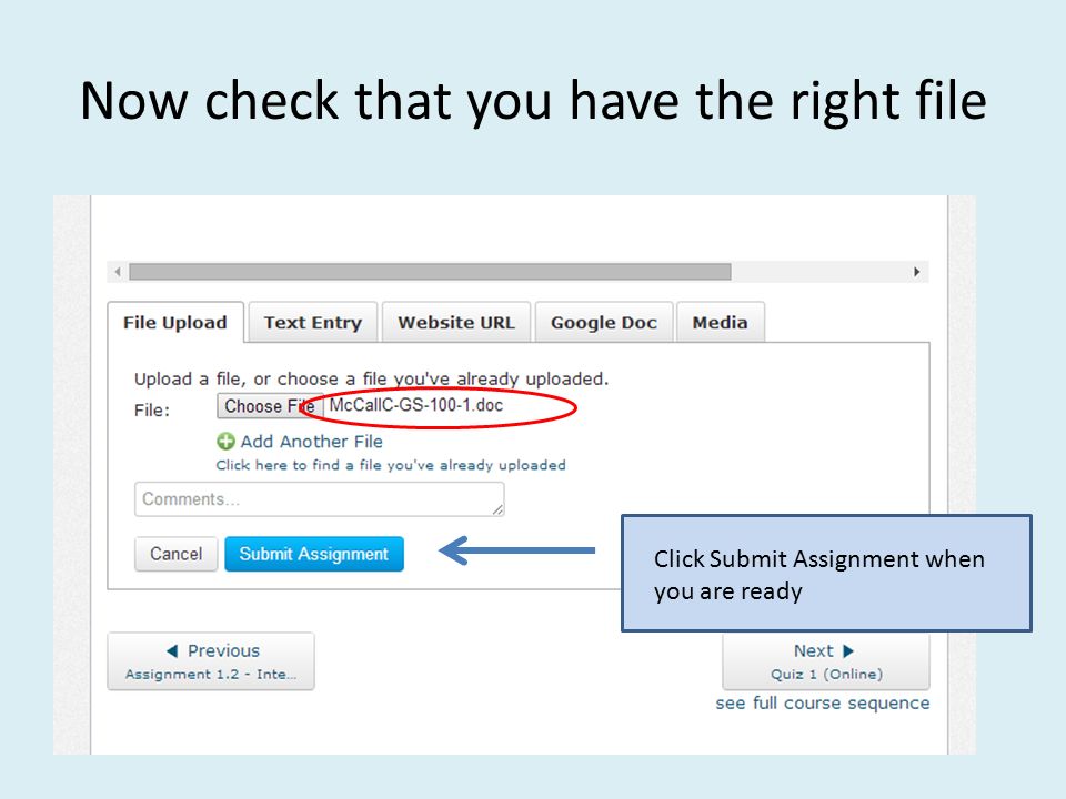 Now check that you have the right file Click Submit Assignment when you are ready