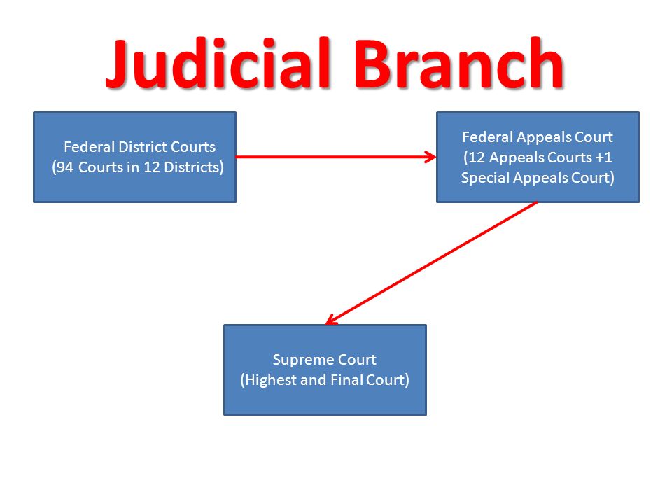 Judicial Branch Federal District Courts (94 Courts in 12 Districts) Federal Appeals Court (12 Appeals Courts +1 Special Appeals Court) Supreme Court (Highest and Final Court)