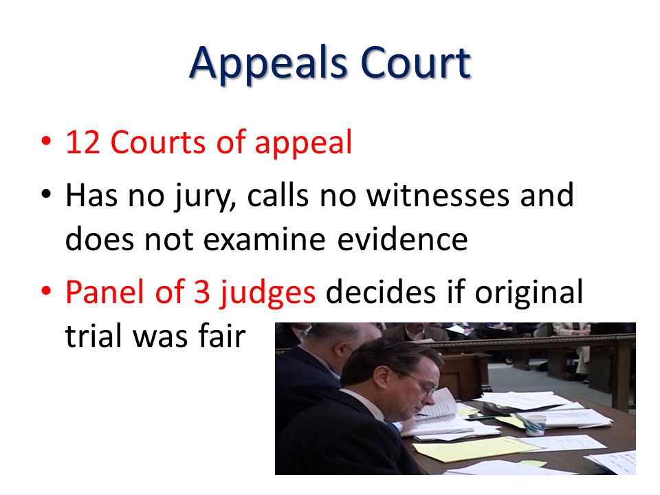 Appeals Court 12 Courts of appeal Has no jury, calls no witnesses and does not examine evidence Panel of 3 judges decides if original trial was fair