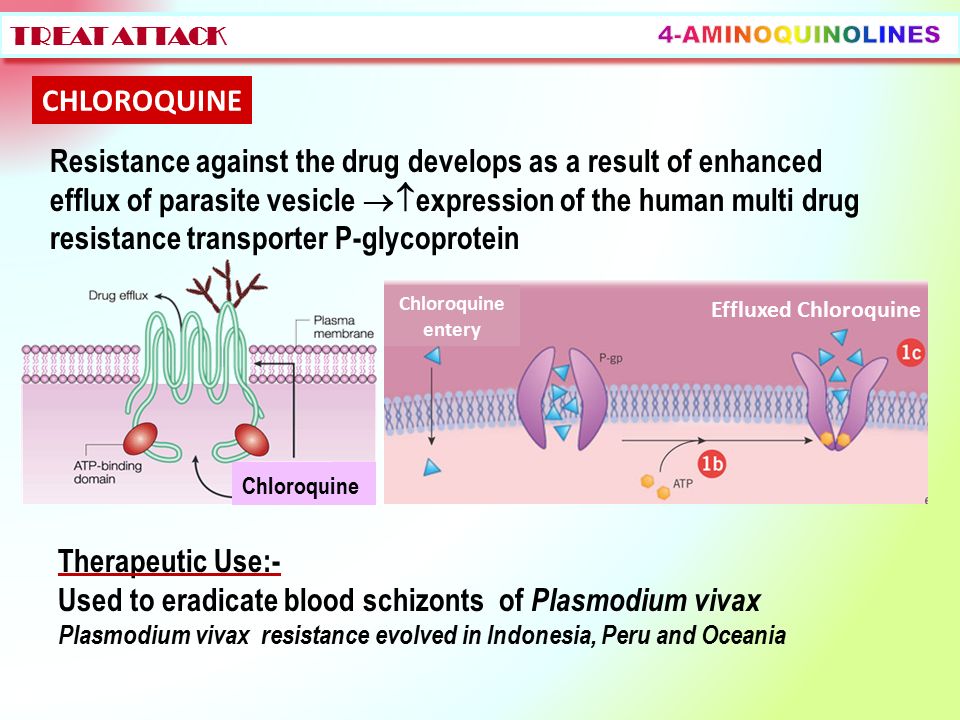 chloroquine diphosphate salt storage malaria treatment chloroquine resistant