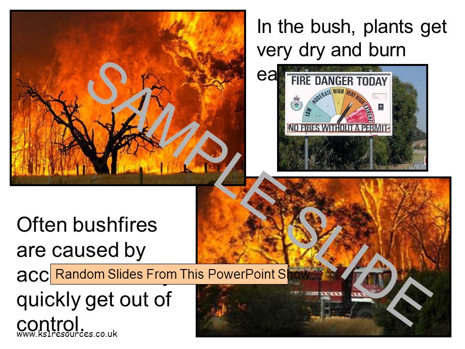 Often bushfires are caused by accident but they quickly get out of control.
