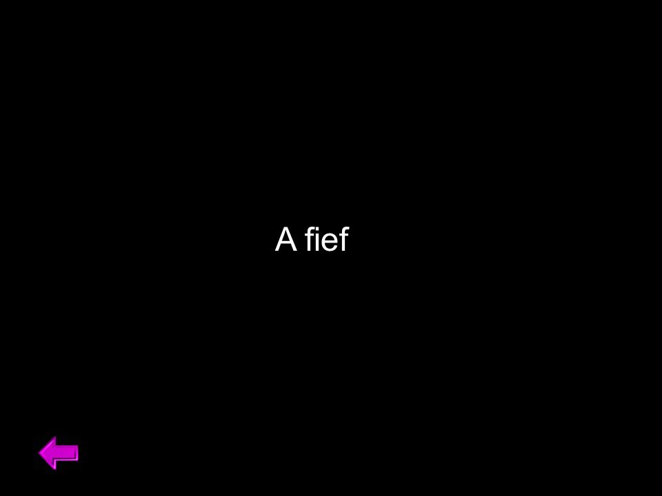 A fief