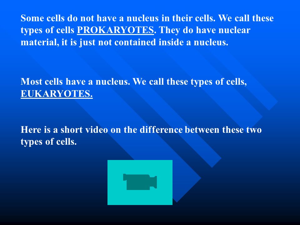What is the nonliving material that makes up the cell walls of plant cells?