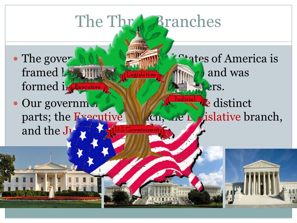 The Three Branches The government of the United States of America is framed by the constitution (the law) and was formed in 1789 by our founding fathers.