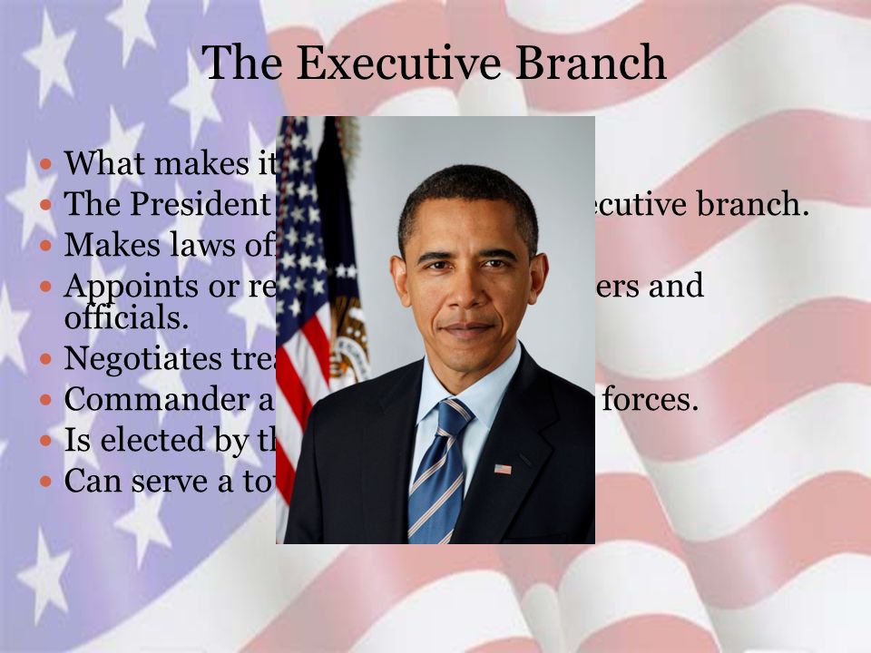 The Executive Branch What makes it up . The President is the head of the Executive branch.