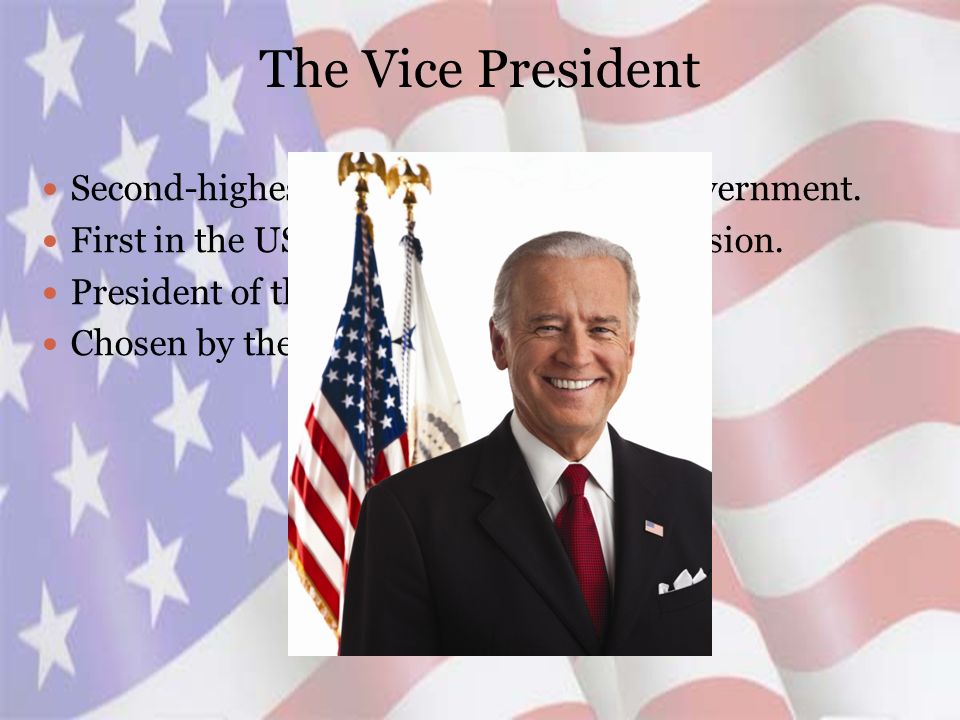 The Vice President Second-highest official in rank of the government.