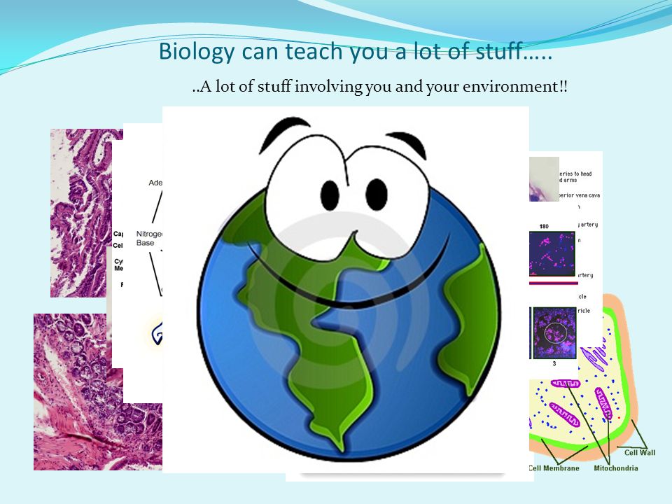 Biology can teach you a lot of stuff…....A lot of stuff involving you and your environment!!