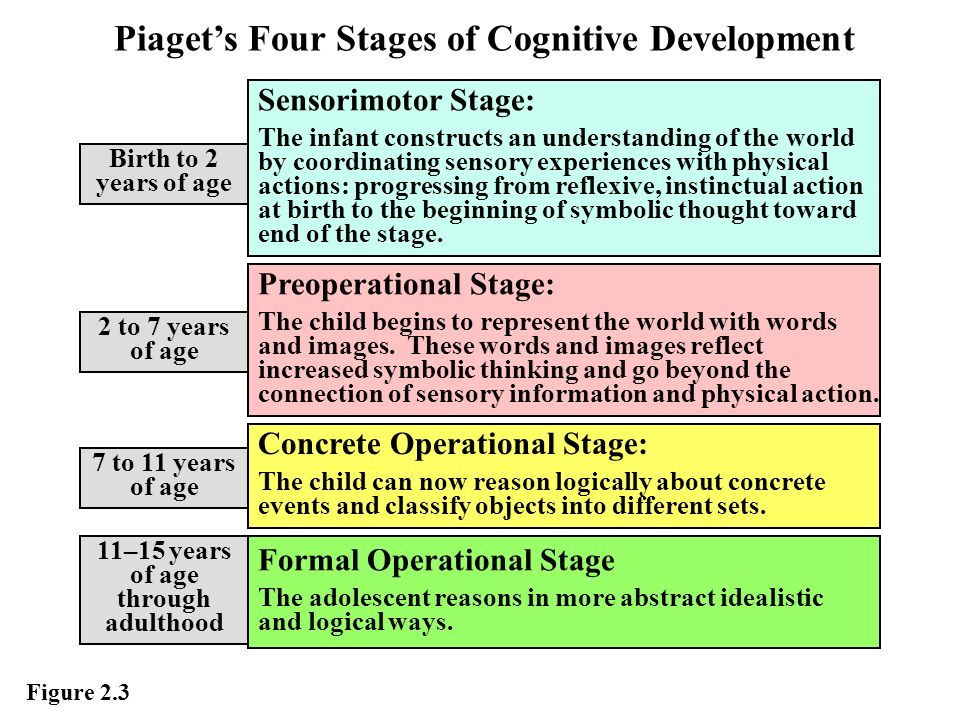 understanding web development essay understanding web development essay