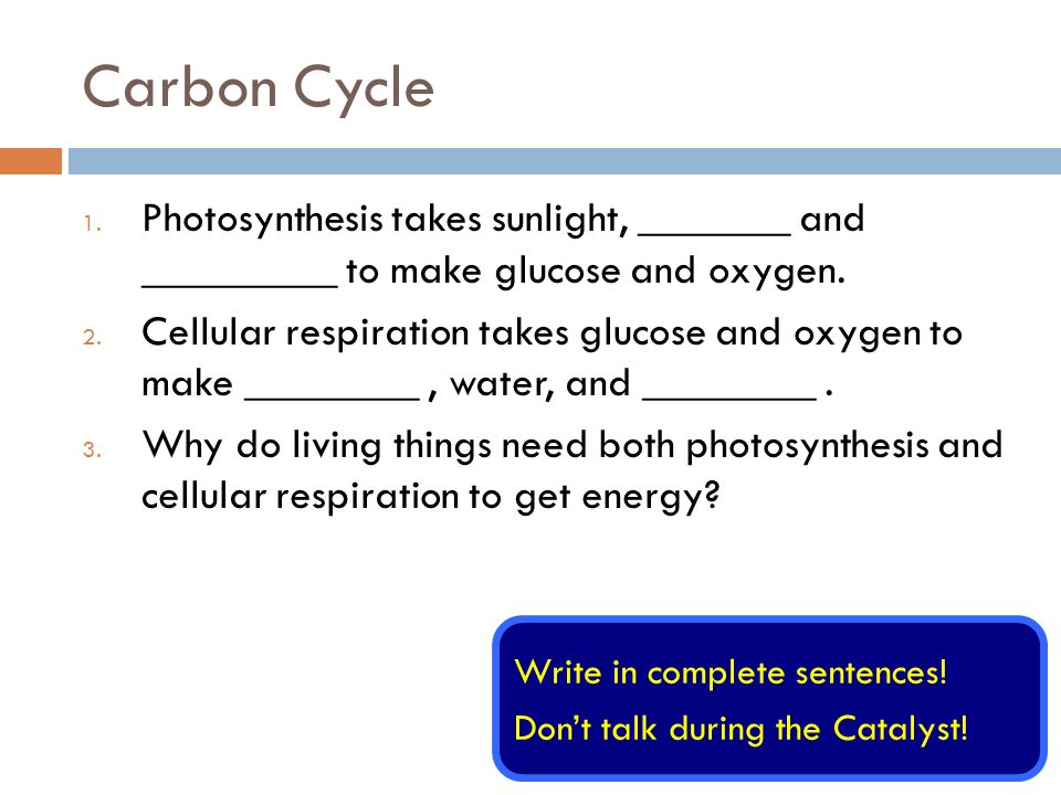 Carbon Cycle 1 Photosynthesis Takes Sunlight And Photosynthesis Takes Sunlight And To Make Glucose Oxygen