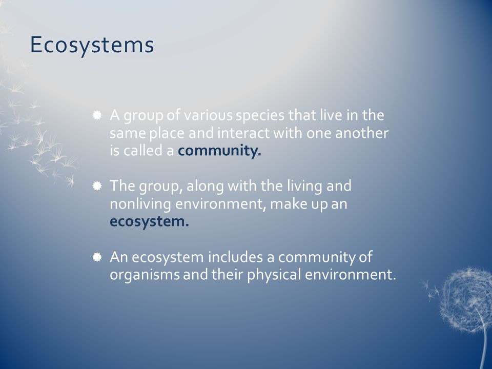 What do you call a community of organisms and their nonliving environment?