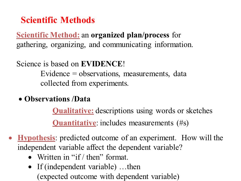 scientific method format