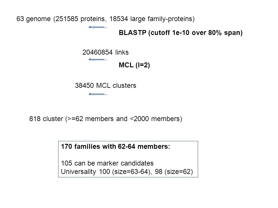 slide_12.jpg