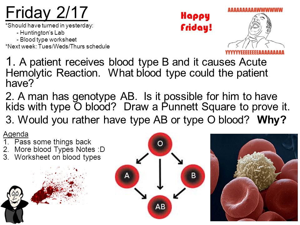 Worksheet Blood Typing Worksheet friday 217 should have turned in yesterday huntingtons lab blood
